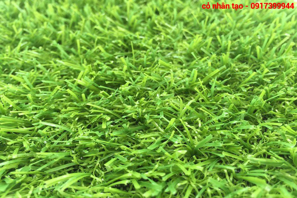 Cỏ nhân tạo sân vườn 2cm CNT-002