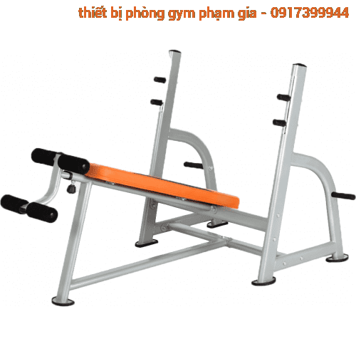 GHẾ ĐẨY NGỰC DƯỚI DL PGSP515