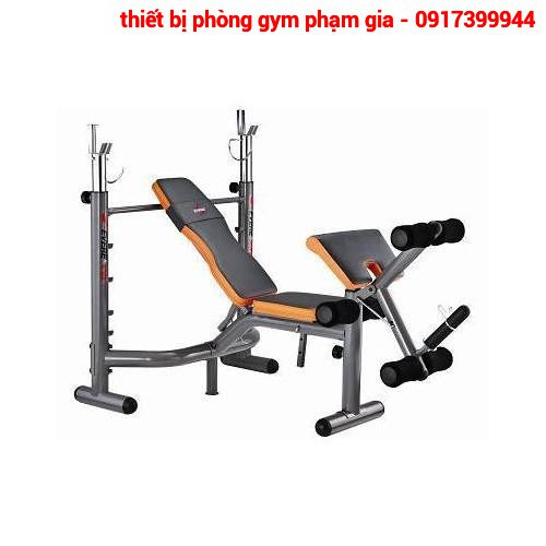 GHẾ ĐẨY TẠ ĐA NĂNG ĐỘNG LỰC PGSP512