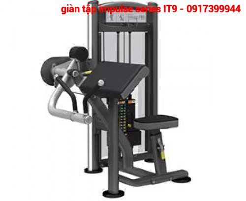 IT9302 LAT PULLDOWN - Máy kéo xô ngắn - PGSP483