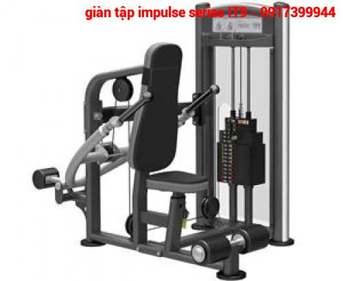 IT9317 Seated Dip - Máy tập tay sau-  PGSP481