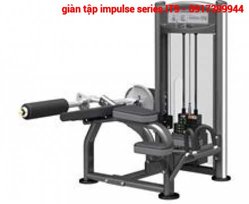 IT9321 PRONE LEG CURL - Máy móc đùi sau - PGSP474